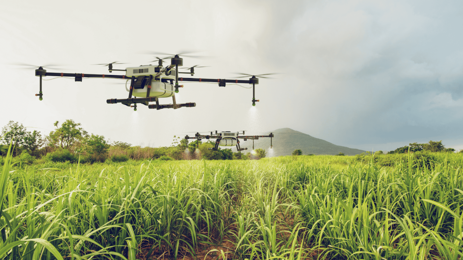 Two agricultural drones spraying crops in a lush, green field. The drones are flying over the tall grass, with a mountainous backdrop and cloudy sky, showcasing the use of technology in modern farming