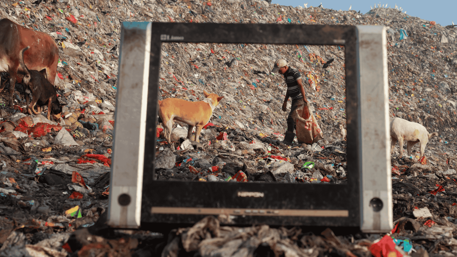 An image of a landfill with plastic waste, viewed through an old television frame. A boy is seen walking through the garbage, carrying a bag, while stray dogs and cows are scattered across the scene