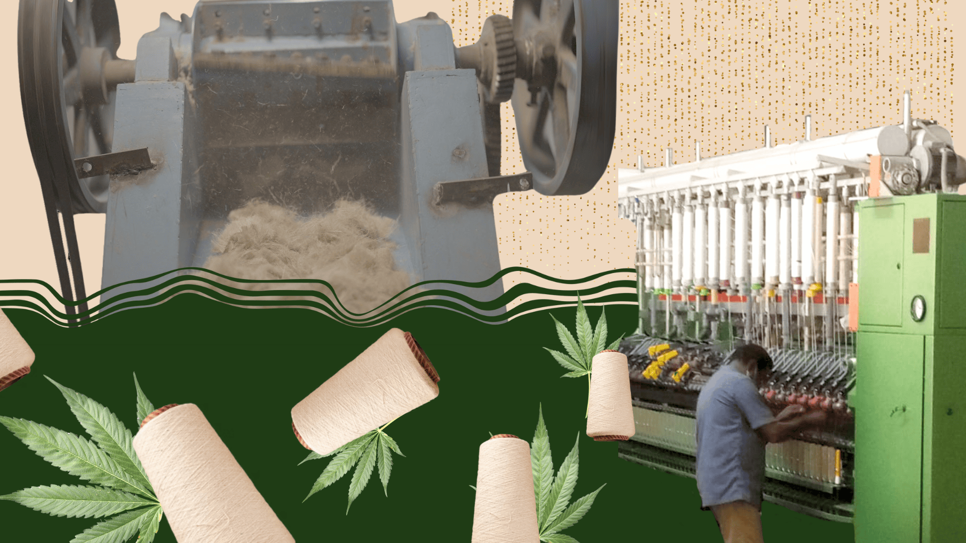 A collage of Canvaloop’s process turning farm waste into textile yarns, supported by Marico Innovation Foundation's Scale-Up, no-equity accelerator.