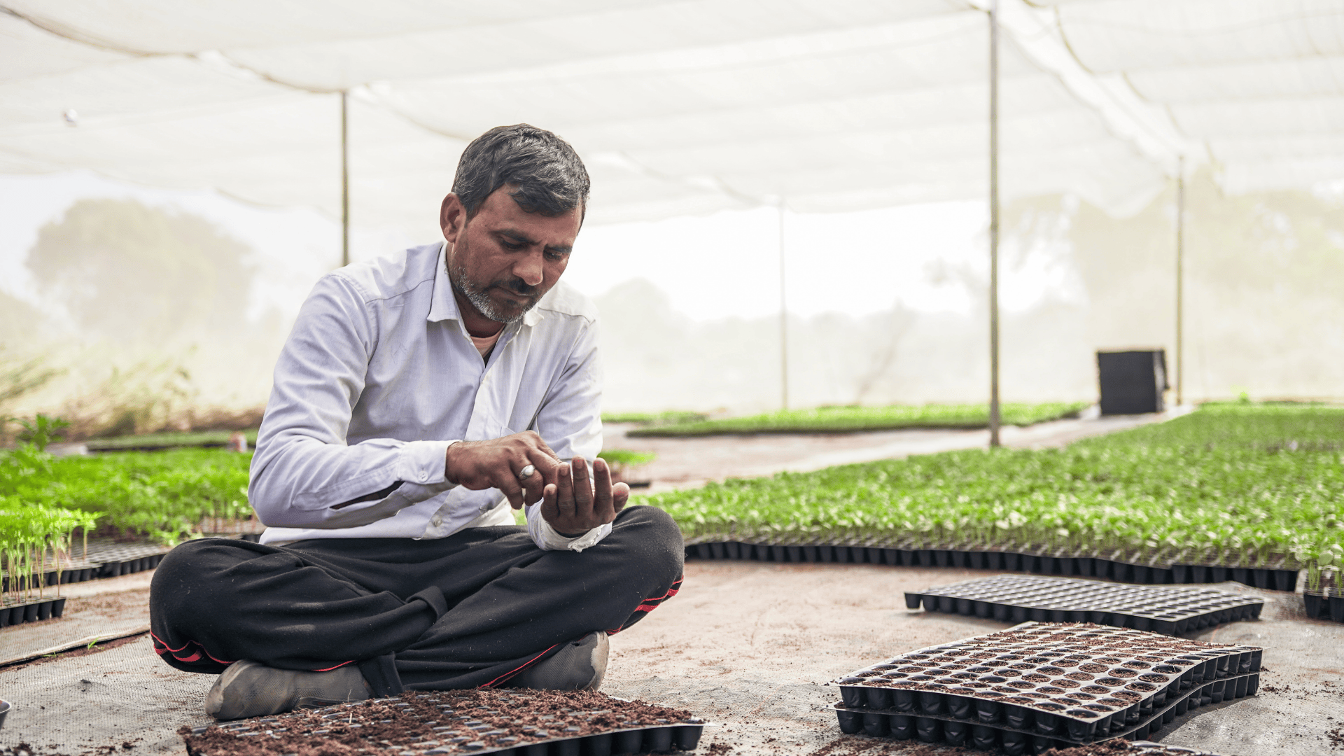 A farmer planting seeds inside a Kheyti greenhouse, supported by the Scale-Up program from Marico Innovation Foundation.