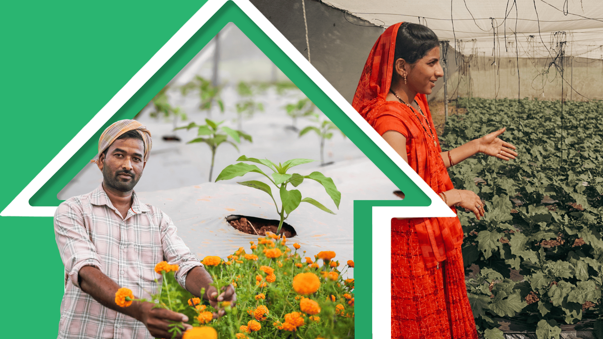 Farmers using Kheyti’s climate-resilient farming technology, supported by Scale-Up, Marico Innovation Foundation’s no-equity accelerator.