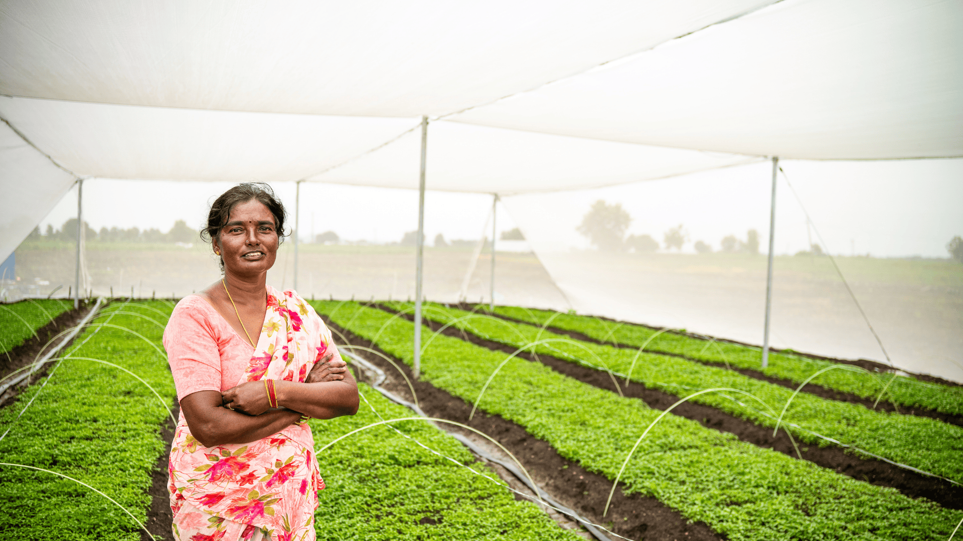 A farmer standing inside a Kheyti greenhouse, supported by Scale-Up program by Marico Innovation Foundation.