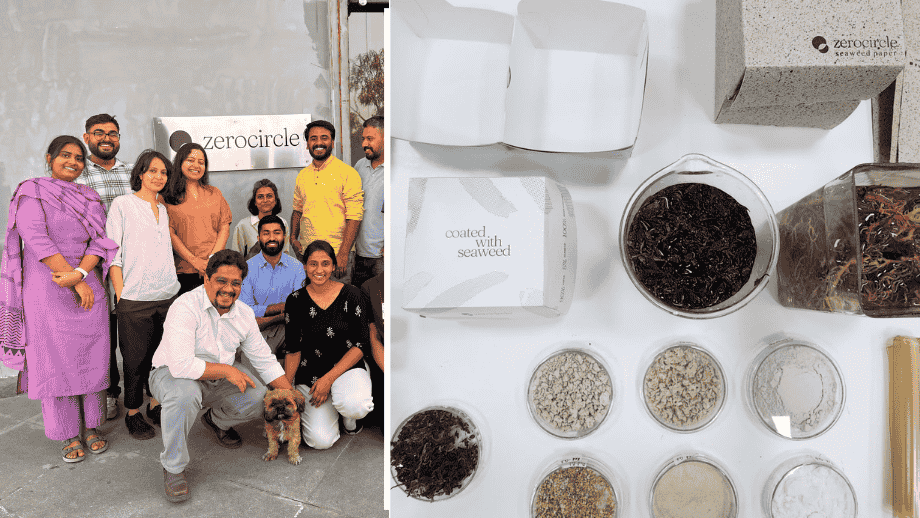 MIF and Zerocircle startup team members pose together during the Scale-Up mentorship program by MIF.