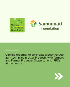 Marico Innovation Foundation and Samunnati Foundation logos with text announcing a post-harvest agri-tech pilot in Uttar Pradesh.