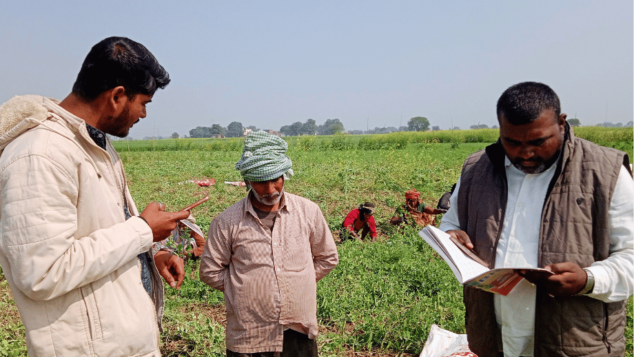 Field visit with farmers reviewing crops and taking notes.