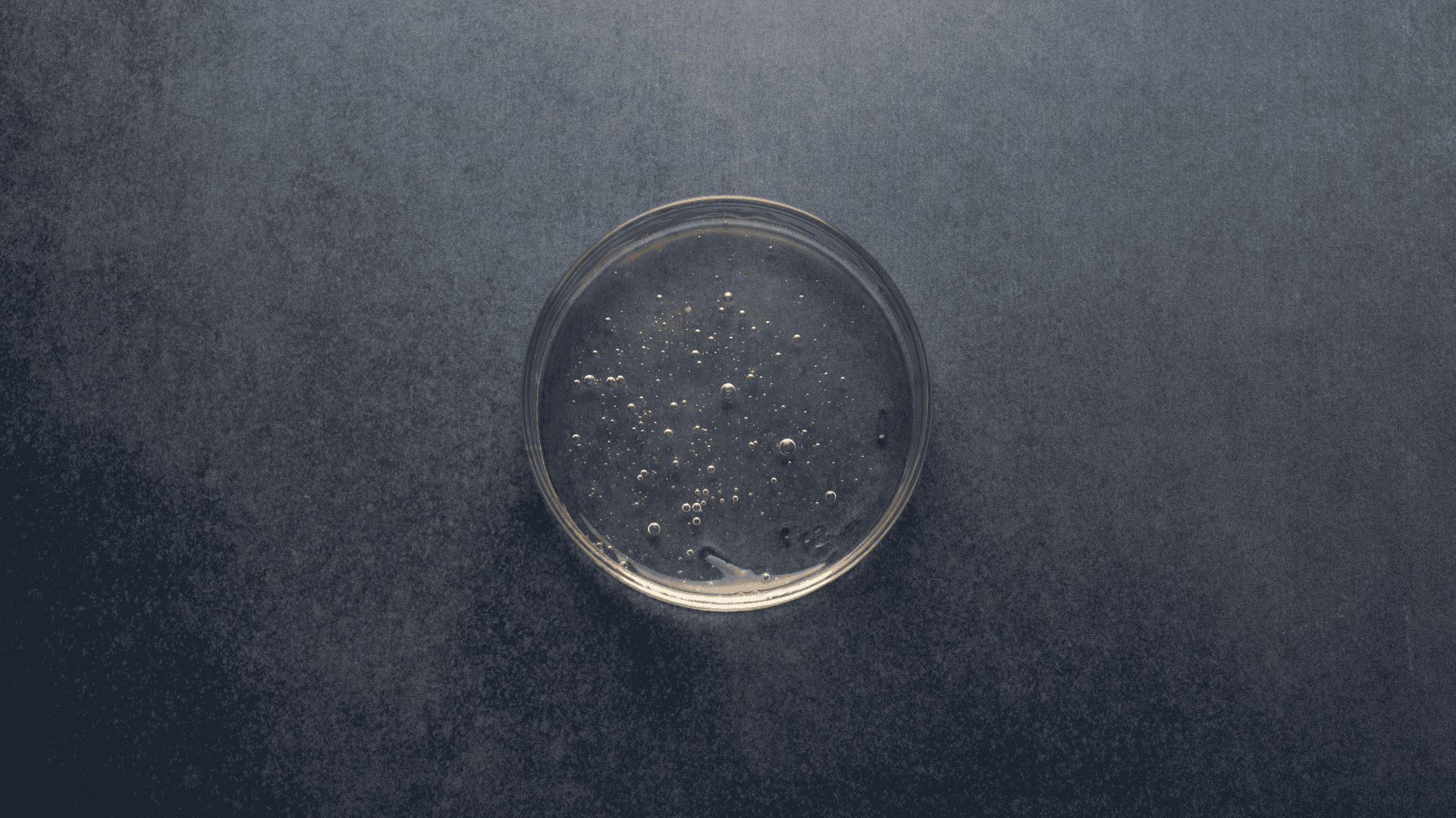 Top-down view of a glass petri dish containing a clear, bubbly gel.