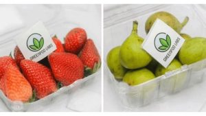 A split image displaying two clear plastic clamshell containers of fruit. The left container holds fresh red strawberries, and the right holds green figs. Inside both containers rests a small square sachet featuring the green leaf logo of GreenPod Labs.